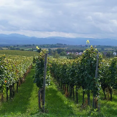 Weingut Landmann Ferienwohnungen Freiburg im Breisgau Exterior foto