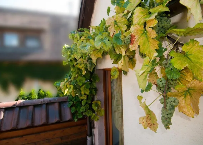 Weingut Landmann Ferienwohnungen