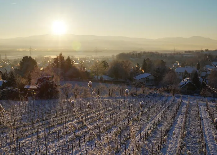Weingut Landmann Ferienwohnungen