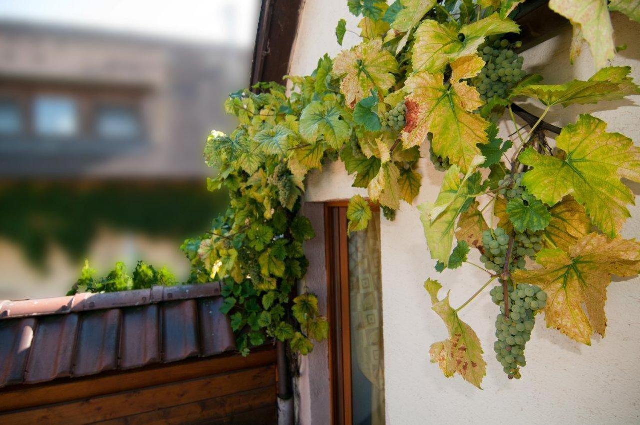 Weingut Landmann Freiburg im Breisgau