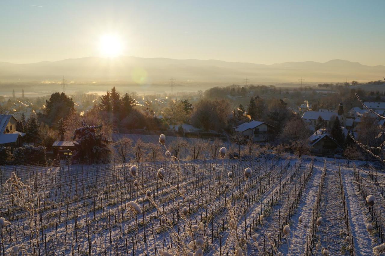 Weingut Landmann