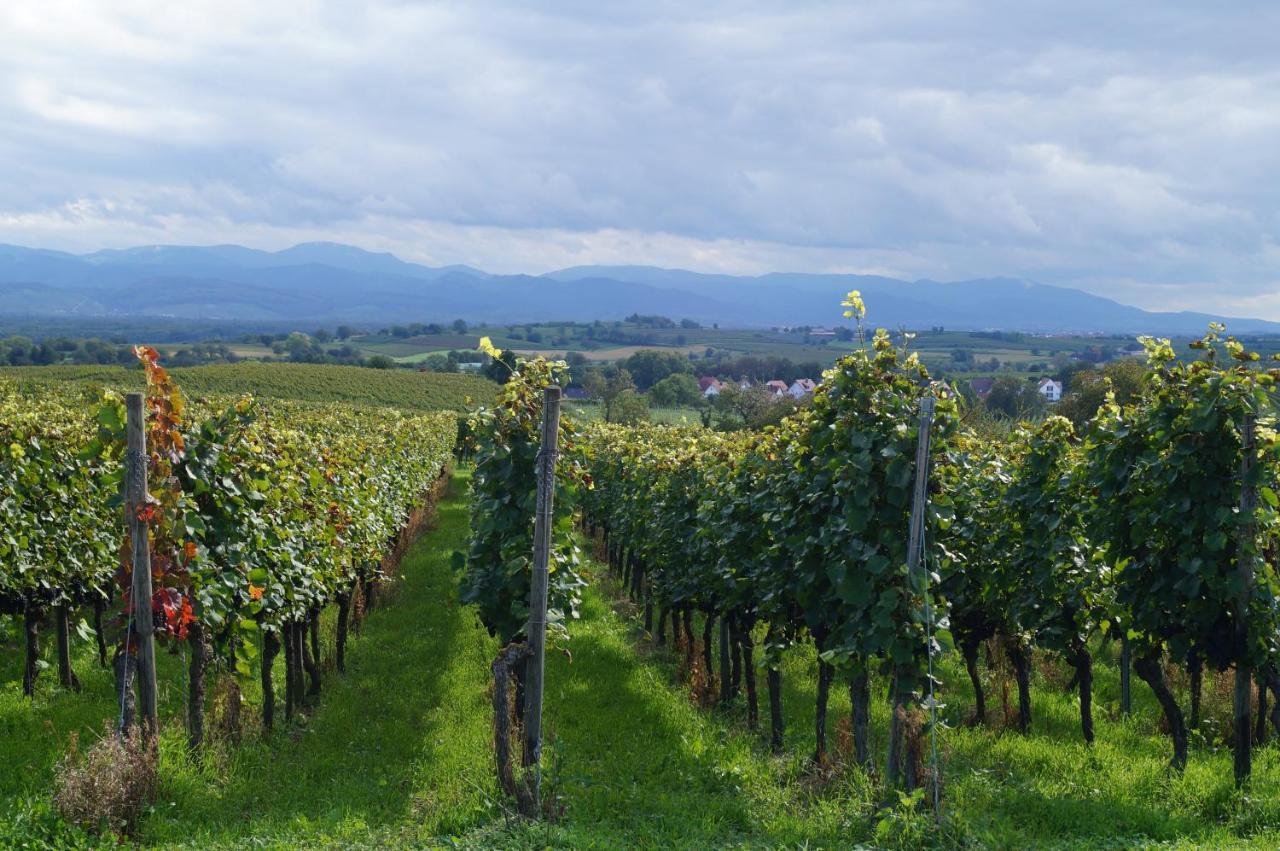 Weingut Landmann *